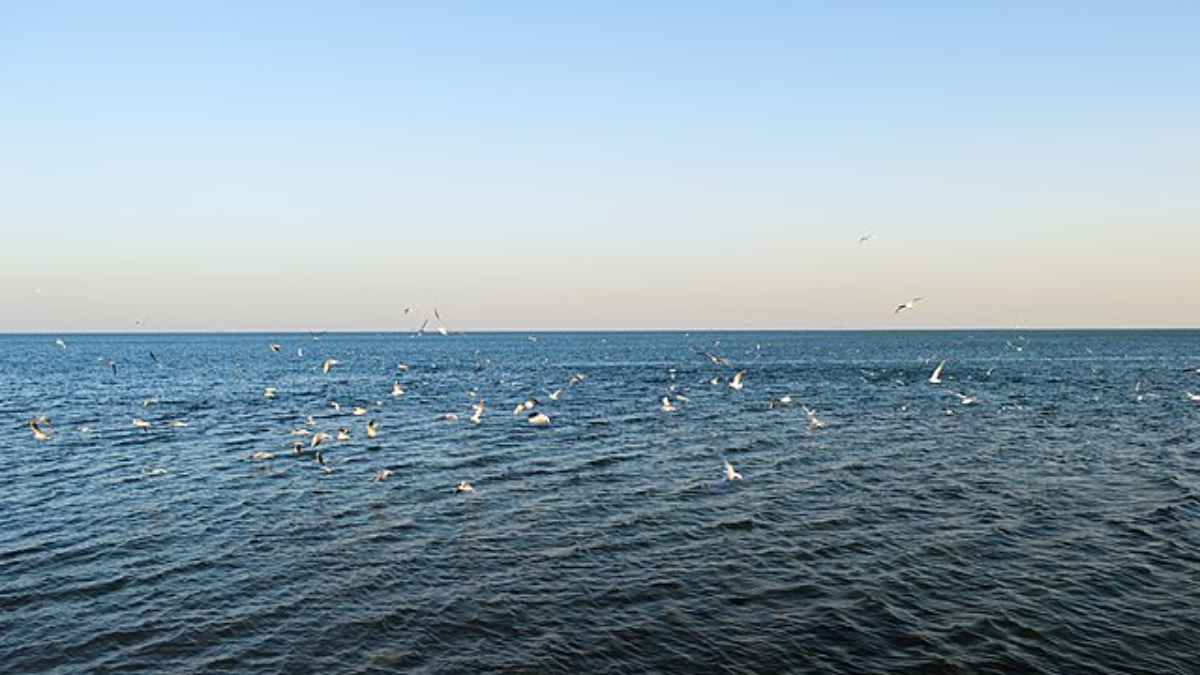 Iranian Navy Escorts Indian Tanker Through Strait of Hormuz: Report