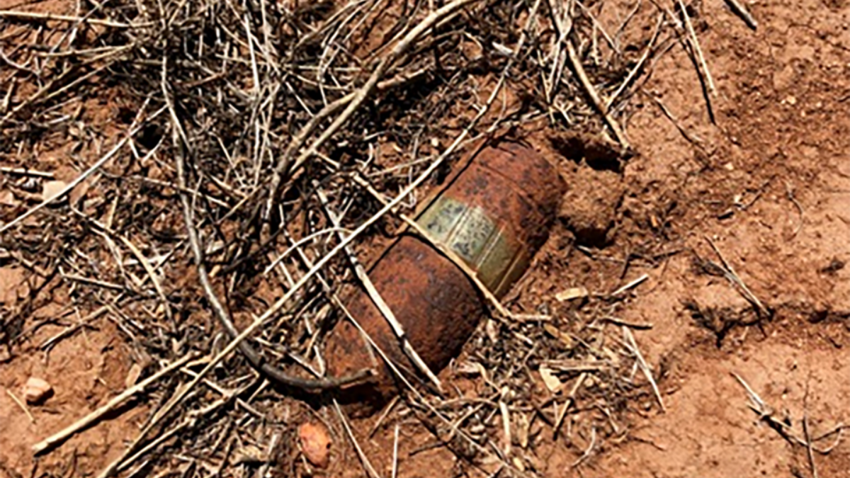 Indian Army Neutralises World War II-Era Bomb in Assam’s Ledo-Lekhapani